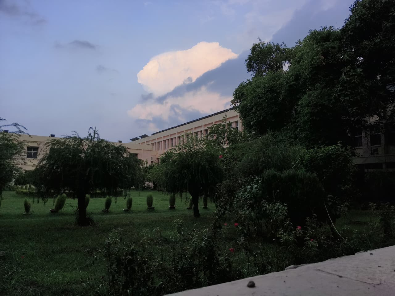 MNNIT Allahabad Campus photo 23